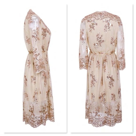 Tan Midi V-Neck Mesh Dress with Rosegold Sequins - Picture 6 of 13